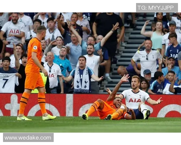 布莱顿与热刺激战正酣谁能在英超赛场上笑到最后